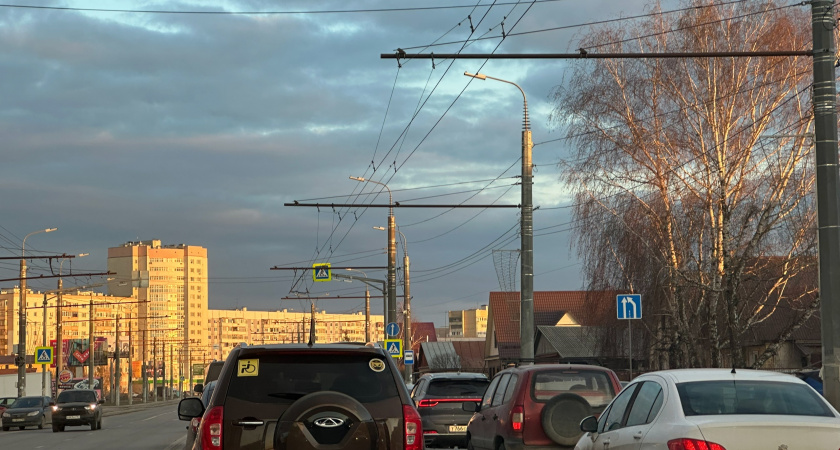 Змея высунула морду из-под дома в центре Рязани и напугала горожан