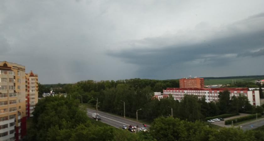 Рязанскую область ждут грозы с градом и аномальная жара