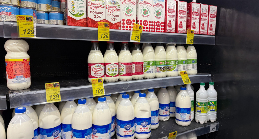 Крашенная вода: Росконтроль назвал марки молока, которые лучше не покупать даже по акции