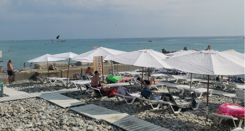 "Ходили по лошадиному навозу, нюхали выгул кур, гладили свору собак": честный отзыв о курорте Цандрипш в Абхазии