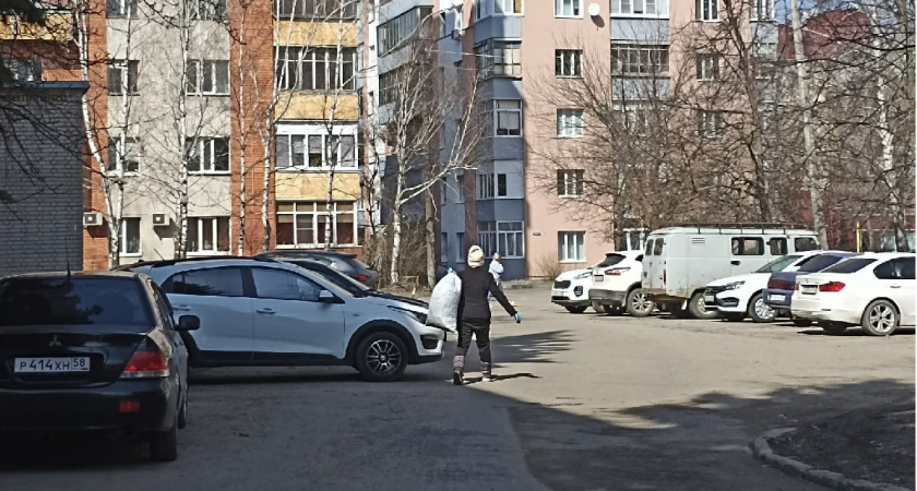 Жительница Рязани возмущена засохшими деревьями на улице Есенина