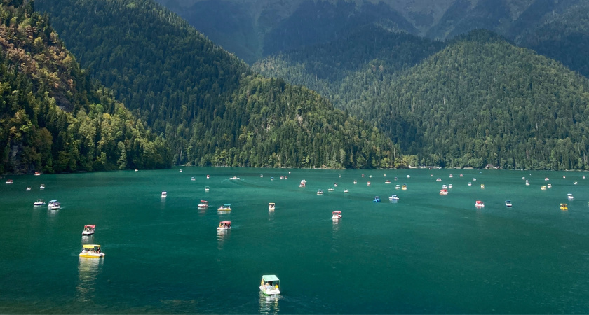 "От мелких ядовитых насекомых до крупных хищников": 7 опасных тварей Абхазии, встречи с которыми лучше избегать