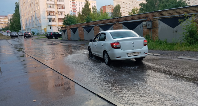В Рязани упавшее дерево перекрыло проезд во дворе