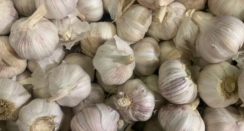 Рассказываю про июньскую подкормку чеснока из 2 компонентов. Готовится за 3 минуты и работает до самой уборки урожая