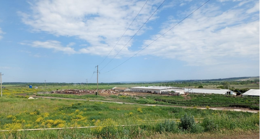 Рязанские скотобойни заплатят полмиллиона за нарушения и ржавый инвентарь