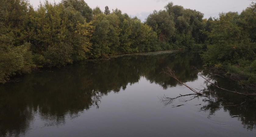 В Рязанской области с начала лета утонули уже три человека