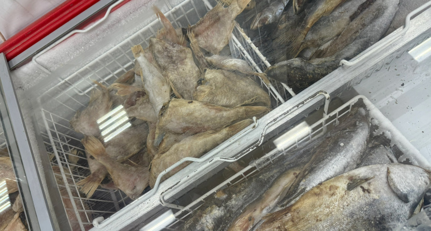 В Рязанской области изъяли 300 кг рыбы