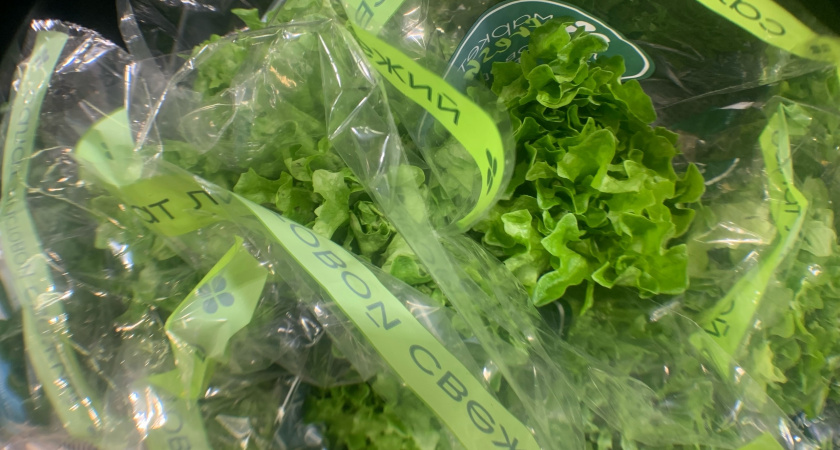 В рязанском хозяйстве нашли небезопасный салат