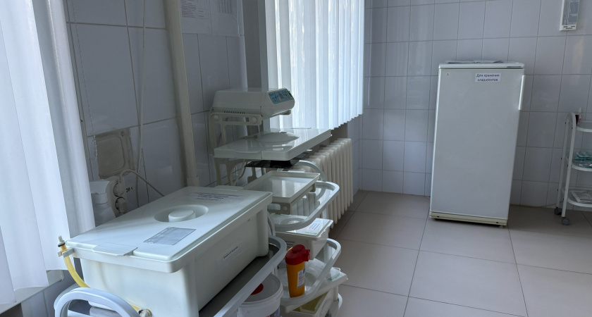 33 жителя Рязанской области обратились к врачам после укусов клещей