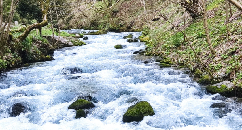 "Это настоящий адский рай. Мы отбивались от скорпионов": туристка отдохнула в Абахзии и оставила честный отзыв