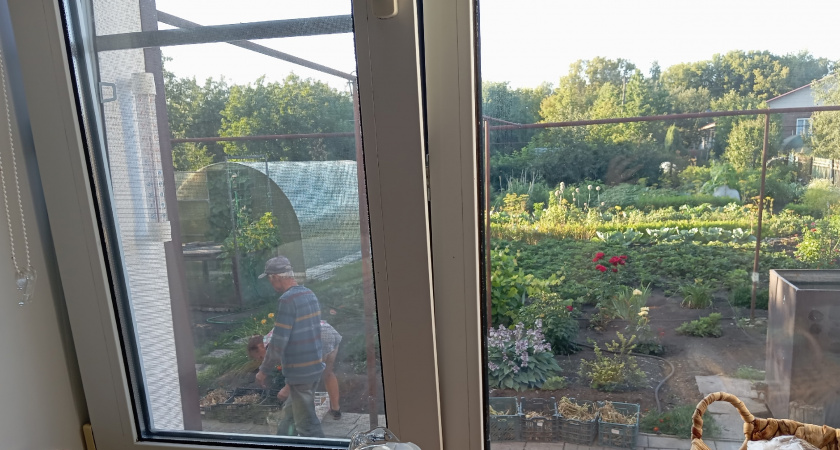 Одна чайная ложка — и окна не трогаю до глубокой осени: копеечный трюк для самых ленивых