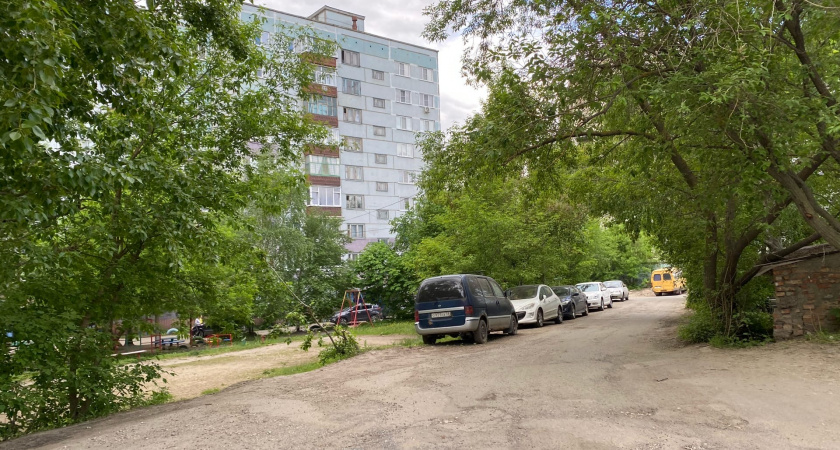 В Рязани упавшее дерево повредило припаркованные автомобили