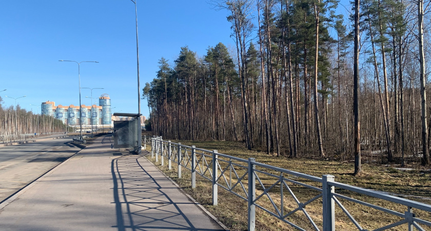 Разработкой проекта Южного обхода Рязани займется компания из Москвы