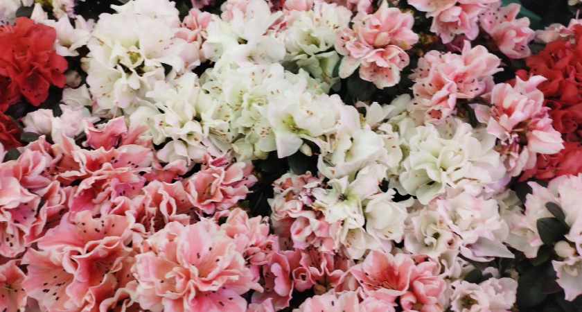 Территорию у мемориала погибшим летчикам в Рязани делают более благоустроенной