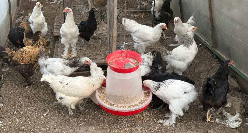 Купил дом в глухой деревне, был счастлив только первые три года, потом сел, посчитал и ахнул - надо было делать по-другому