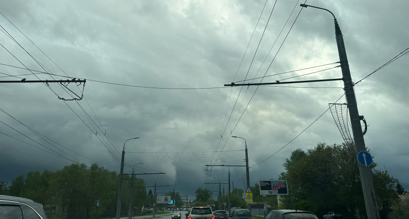Водителям в Рязанской области советуют быть осторожными из-за козодоев