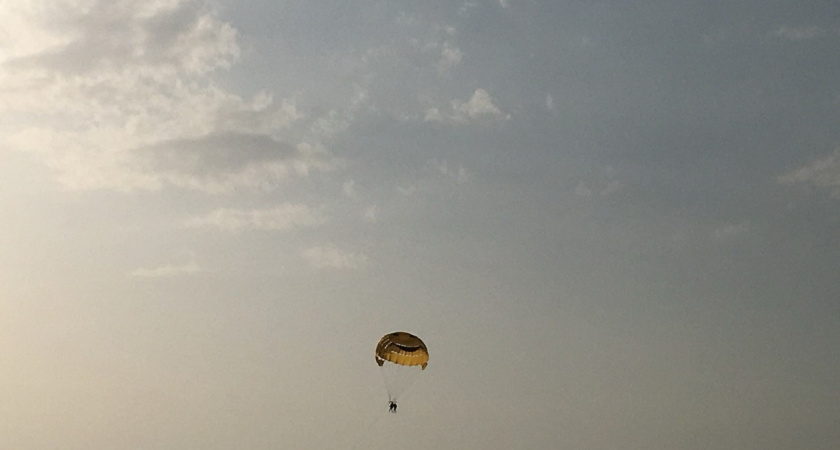 Губернатор Рязанской области Павел Малков отметил День ВДВ прыжком с парашютом