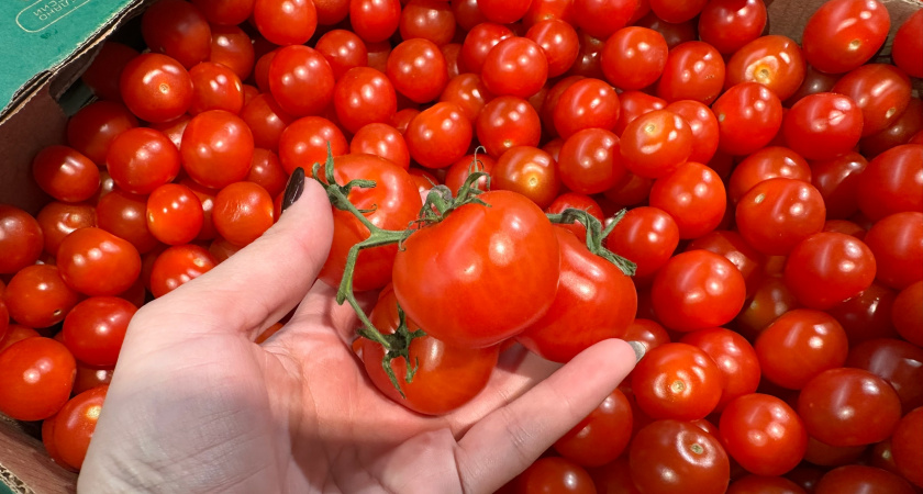 Добавляю всего одну ложку меда в маринад для помидоров: сейчас только такое соленье беру в гости вместо подарка - обалденный вкус