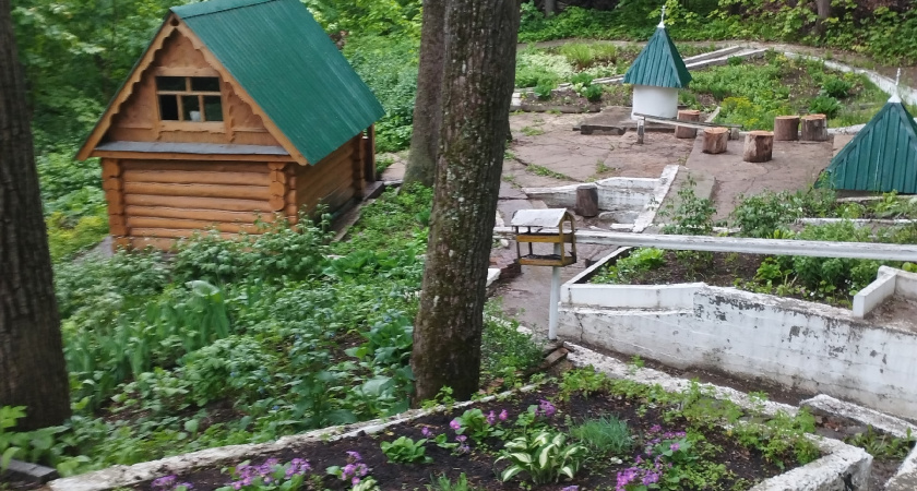 Рязанские юннаты из школы №47 исследовали природу Окского заповедника