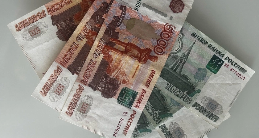 С начала года более двух тысяч рязанок получили пособия по беременности и родам