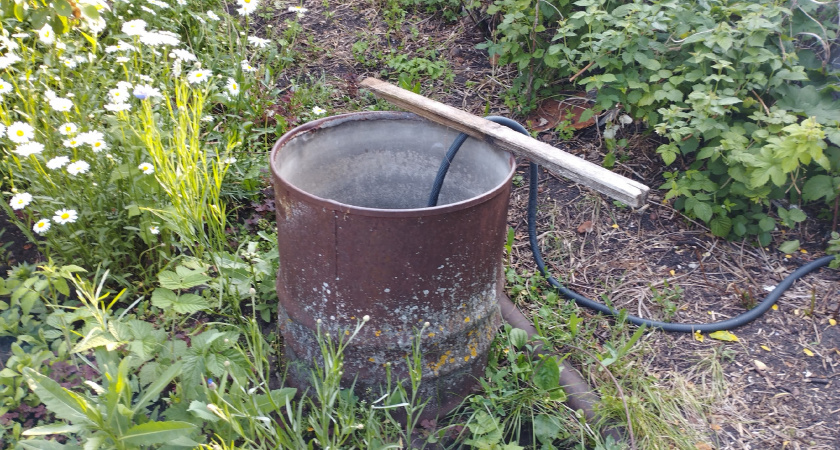 8 лет подряд засеиваем землю в августе именно этим сидератом — почва на следующий сезон будет без сорняков и 100% плодородной