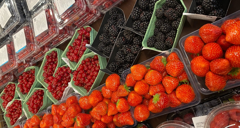 Клубничное рабство в Финляндии: как я решилась поехать на сбор клубники в Европу - честный отзыв туриста