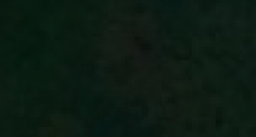 Рязанская компания решила помочь пострадавшим в Шиловском районе, перечислив им свой дневной доход