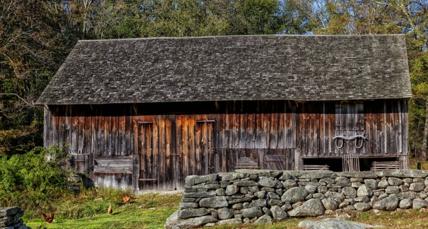 Житель глухой деревни нашел настоящий клад в России: сейчас копатели со всей страны съезжаются сюда – реальная история из глубинки