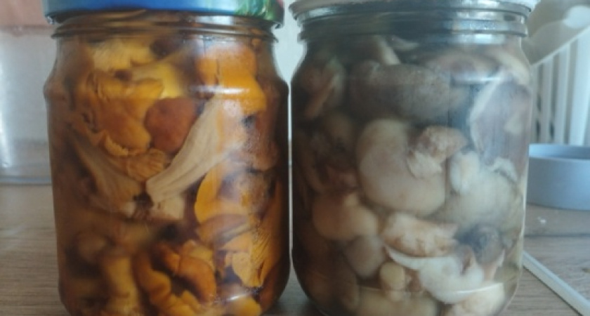 Маринованные грибы на зиму: проверенным годами рецептом делаю по 50 банок – гости закидали вопросами
