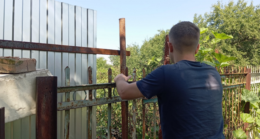 За сутки сделали красивое и стильное ограждение на даче: денег потратили мало - соседи обзавидовались