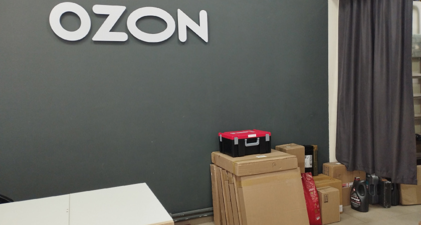 "Товар улетает моментом": Деревенские жители зарабатывают на Ozon* по 550 тысяч в месяц – нехитрый бизнес сулит миллионы