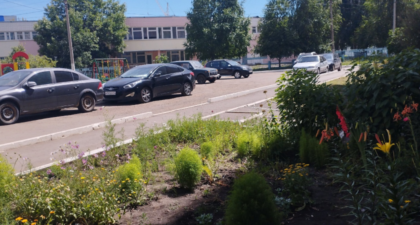 В Рязани внезапно упавшее дерево придавило припаркованные автомобили