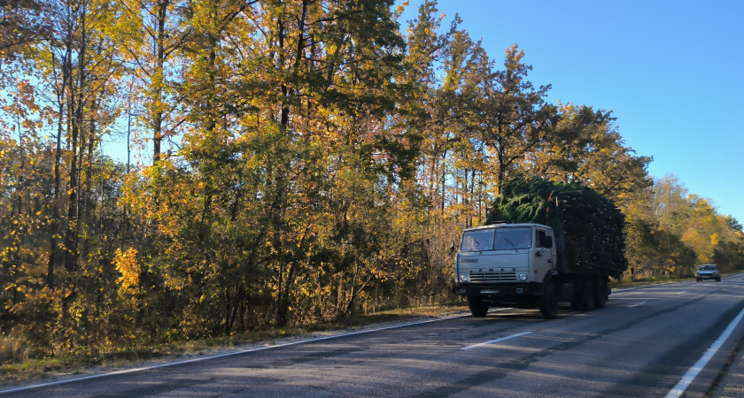 Фуры продолжают нарушать весовые ограничения на Солотчинском мосту