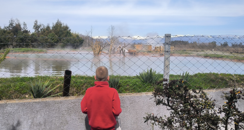 «Их просто огромное количество»: Россиянка честно рассказала о мерзких существах, которые превратили в ад ее отпуск в Абхазии