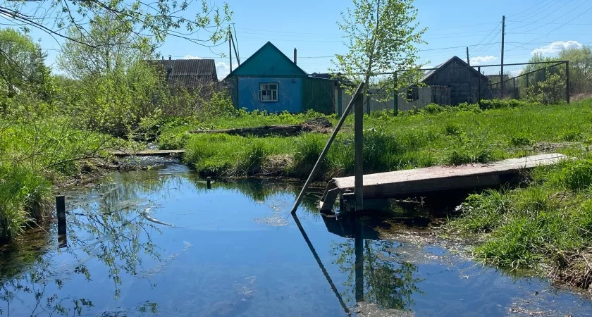 Переехали жить в деревню и только через год поняли, почему там больше не живут хозяйством
