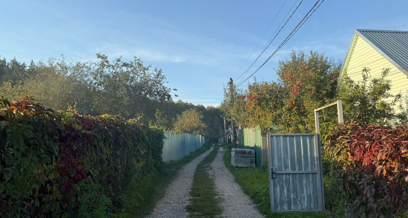 Семья москвичей купила дом в деревне, чтобы отдыхать в нем телом и душой: такого они точно не ожидали - честный отзыв про "новую" жизнь