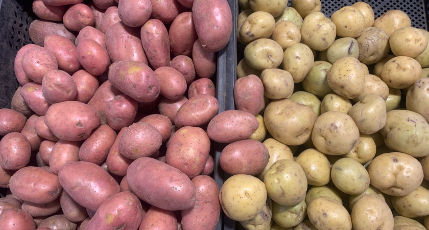 Храню картофель и свеклу дома до поздней весны: свежие и крепкие без погреба