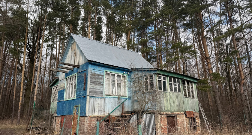 Переехала из мегаполиса в лесную глушь и ни капли не пожалела: Рассказываю, что нашла в деревенской жизни