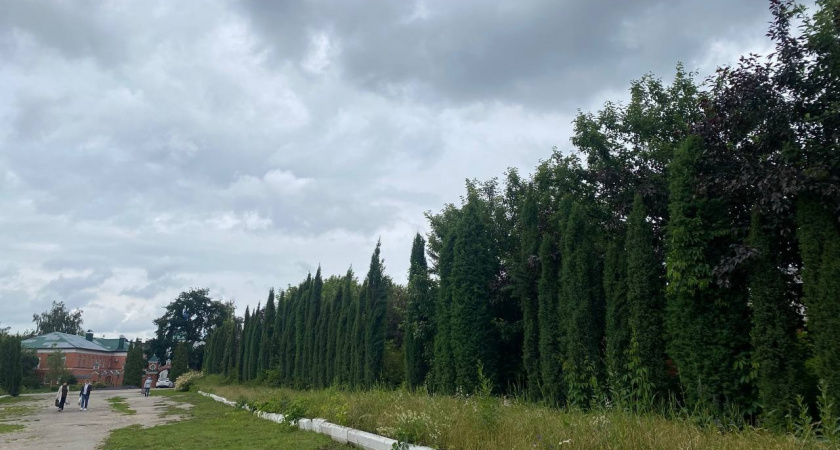 В Солотче пройдет особый субботник