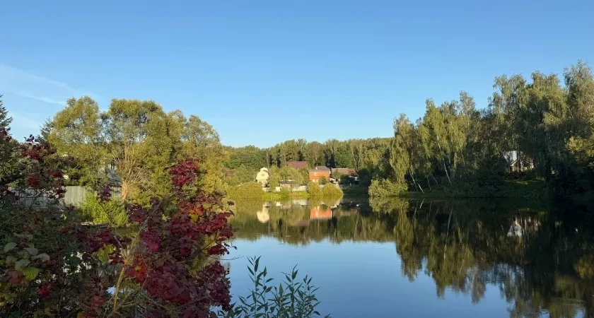 Бизнес-леди переехала из города в деревню и устроила «вещеворот»: Посмотреть на чудо приходят старожилы соседних сел