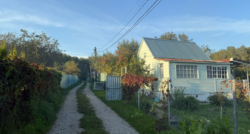 Друг перевёл ребёнка из крутого лицея в деревенскую школу. Многие удивились, а сейчас делают также