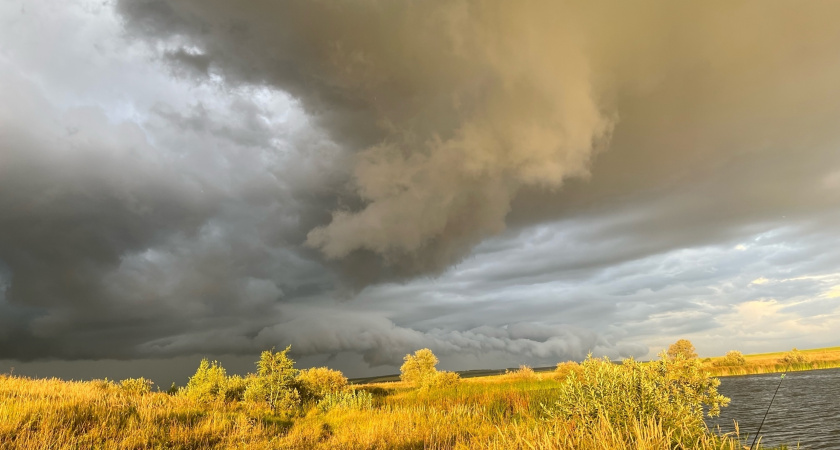 России она не нужна, а в Китае с руками отрывают: Деревенские аграрии нашли применение бесхозному урожаю