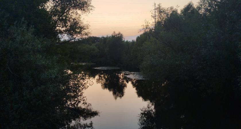 16 тысяч рейдов уже провели по лесам Рязанской области