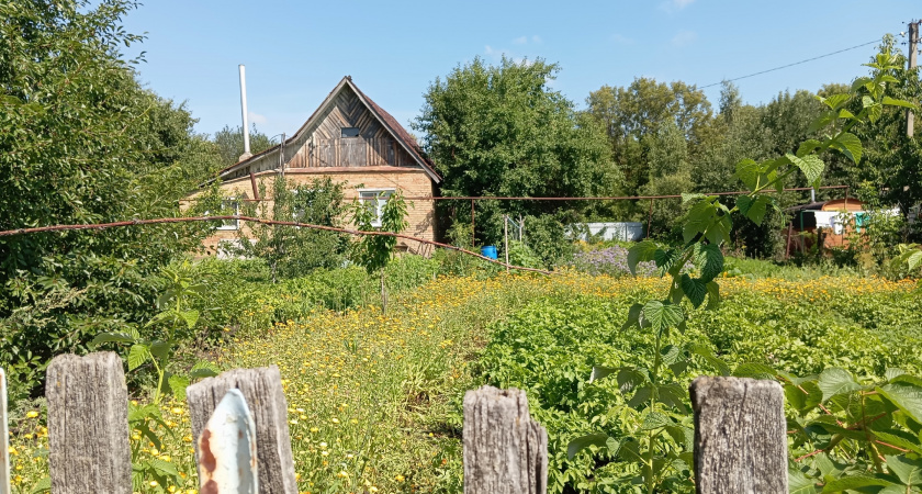 «Старый дом не продаете?»: Почему городские скупают в деревне рухлядь, а не строят новые – веский повод задуматься