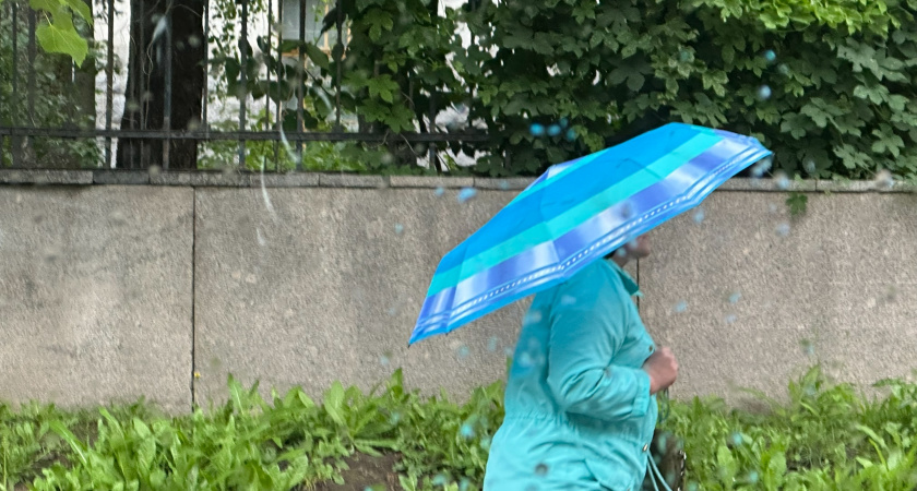 Рязанцев ждет теплое, но ветреное воскресенье с дождями