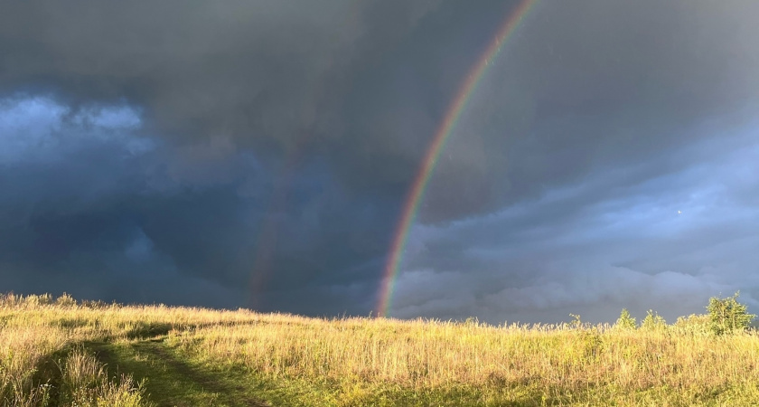 На рязанских полях продолжается работа