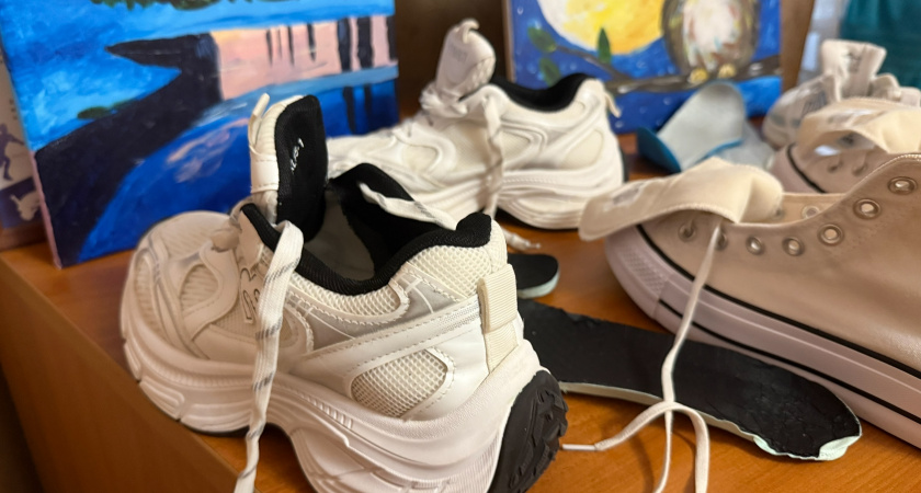 В Шацком районе обнаружили кампанию-призрака