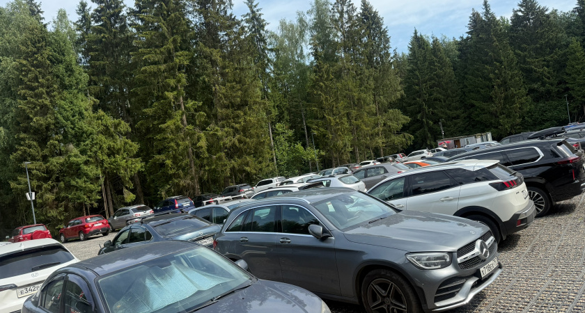 В центре Рязани вновь заработают платные парковки