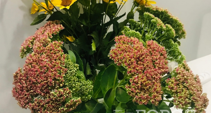 1 ст ложка средства – букет дома стоит больше месяца: в цветочных магазинах делают только так