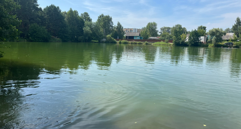 Более 3 миллионов рублей направят на реабилитацию каскада прудов в Дашково-Песочне